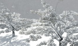 飘雪视频,一段难忘的视频回忆