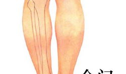 按摩腰部的手法视频,跟随手法视频轻松按摩